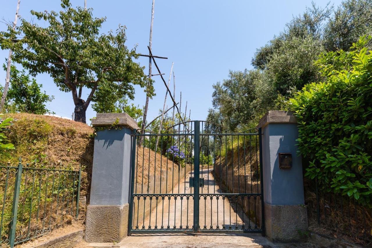 Villa Ada Sorrento Exterior foto
